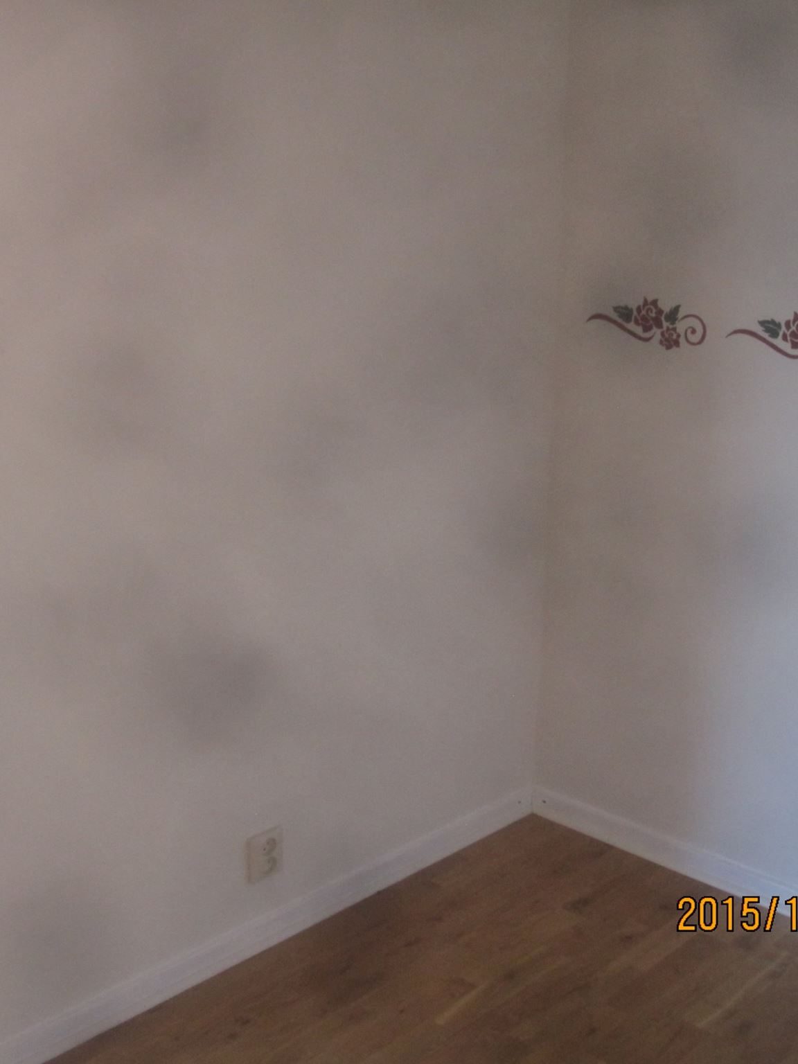 Pelletskamin utan skorsten