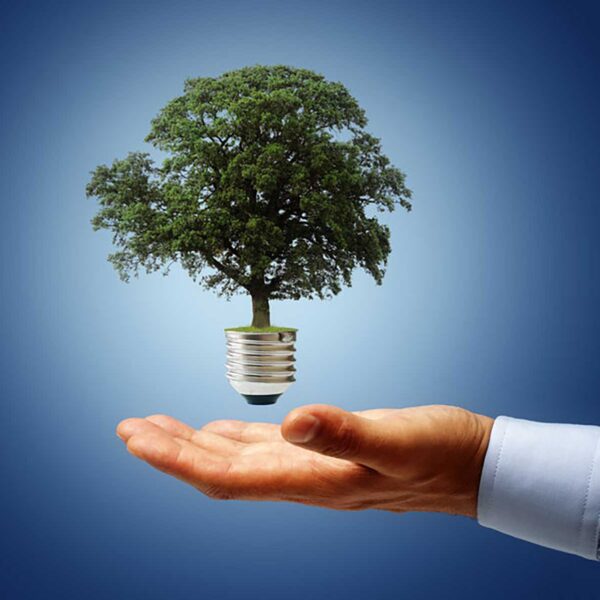 NST-efficiency-tree-001